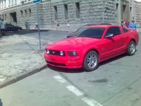 Picture(8).webp