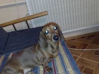 31122007059.webp