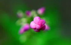 084 update2.webp