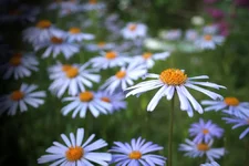  1103 update.webp