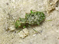 CRW_5085.webp