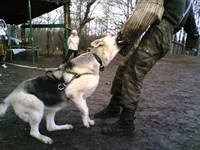  124.1.webp