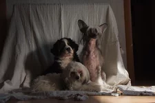DSCF2900.webp