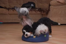 DSCF3079.webp