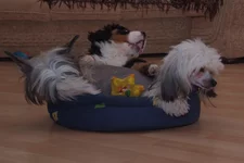 DSCF3104.webp