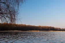 IMG_1707_новый размер.webp