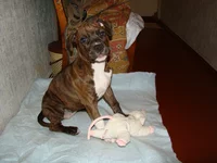 Dsc01694.webp