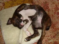 _2.webp