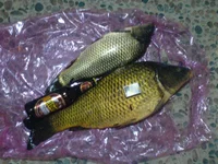 22.04.09 (2).webp