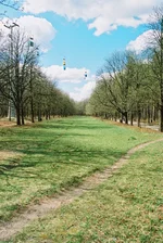 F1010008.webp