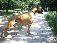  стоит двор.jpg222.webp