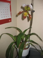 IMG_1303.webp