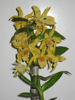 IMG_1278.jpg