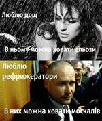 32.webp