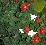 PA168018 — копия (2).webp