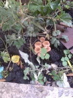 IMG_20141016_150707.webp