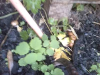 IMG_20141016_150723.webp