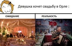 13.webp