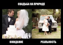 15.webp