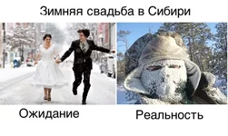 16.webp