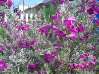 DSCN9828.webp