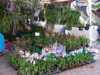 DSCN9838.jpg