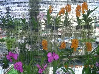 DSCN9870.jpg