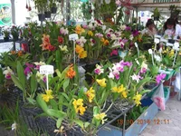 DSCN9863.jpg