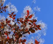 FOTO9349.webp