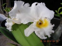 DSCN9450.jpg