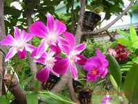 DSCN8961.jpg