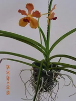 DSCN8920.jpg