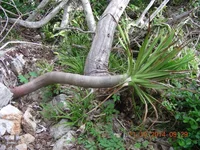 DSCN9538.webp