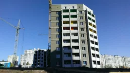 IMAG0539[1].webp