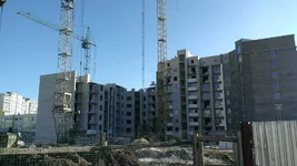 IMAG0538[1].webp