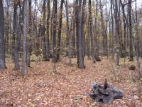 IMG_2743.webp
