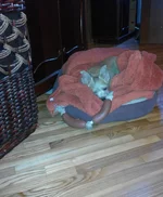 IMG_20141019_122758.webp