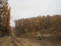 IMG_2722.webp