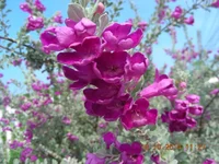 DSCN9829.webp