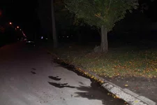 2014_10_21 img_8792_1.webp