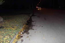 2014_10_21 img_8795_1.webp