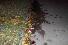 2014_10_21 img_8796_1.webp