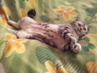 20140830_121533.webp