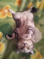 20140830_121642.webp