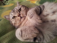 20140830_121731.jpg