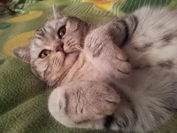 20140830_121731.webp