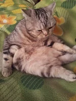 20140830_121810.webp