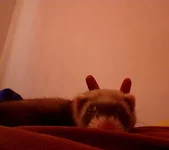 20120531_090945.jpg