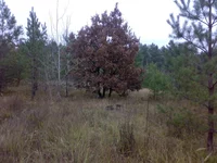 22102014800.webp