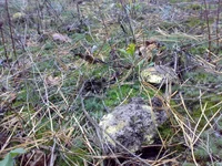 22102014805.webp